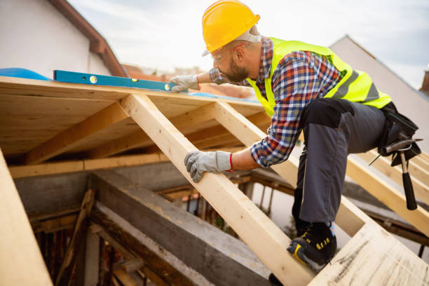 Best Roof Gutter Cleaning  in Otsego, MN